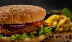 Falafel Burger 800 gr (8 x 100 gr)