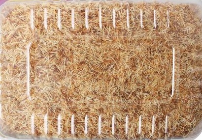 [800503] LEZZA Roasted (Kavrulmuş) Kataifi Dough 2x5000 gr